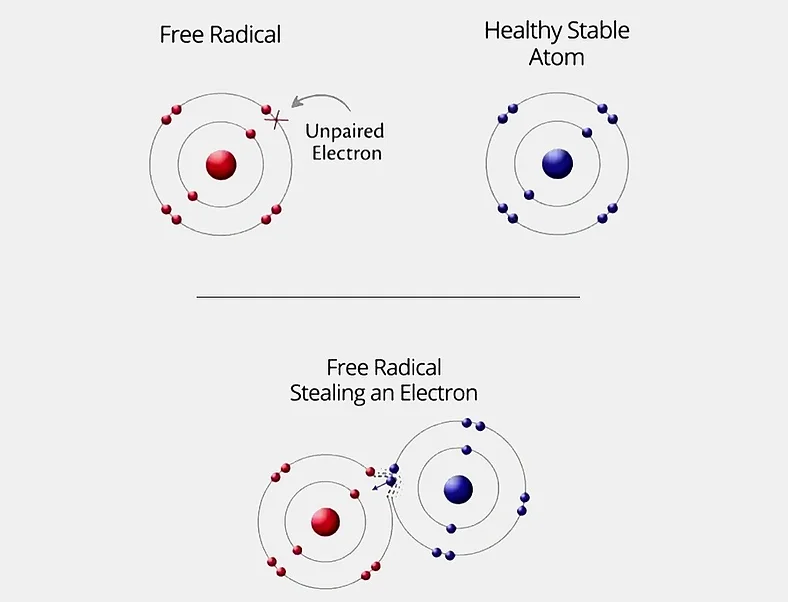 Oxidative Stress