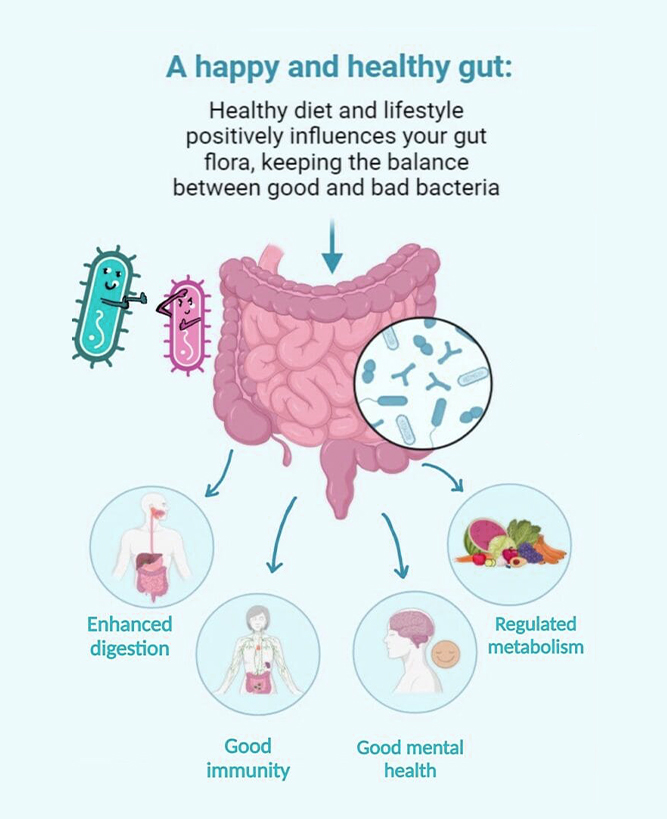 Gut Health